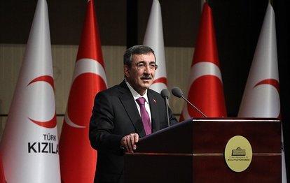 Cumhurbaşkanı Yardımcısı Cevdet Yılmaz'dan Formula 1 paylaşımı